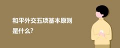 和平外交五項(xiàng)基本原則是什么?