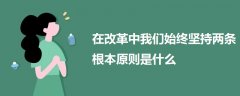 在改革中我們始終堅(jiān)持兩條根本原則是什么