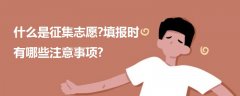 什么是征集志愿?填報時有哪些注意事項?
