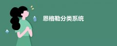恩格勒分類系統(tǒng)