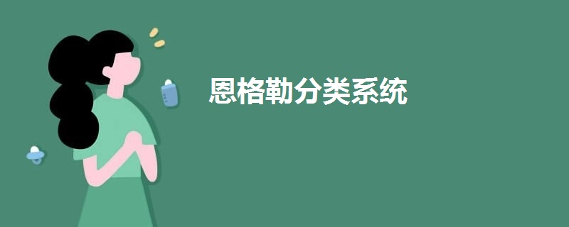 恩格勒分類系統(tǒng)