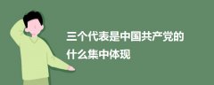 三個(gè)代表是中國共產(chǎn)黨的什么集中體現(xiàn)