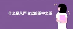 什么是從嚴(yán)治黨的重中之重