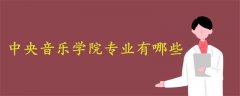 中央音樂(lè)學(xué)院專(zhuān)業(yè)有哪些