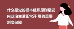 什么是黨的根本組織原則是黨內(nèi)政治生活正常開展的重要制度保障