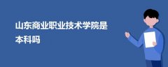 山東商業(yè)職業(yè)技術學院是本科嗎