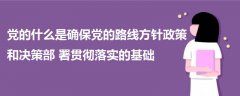 黨的什么是確保黨的路線方針政策和決策部署貫徹落實的基礎