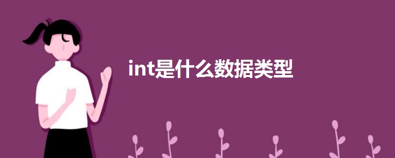 int是什么數(shù)據(jù)類型