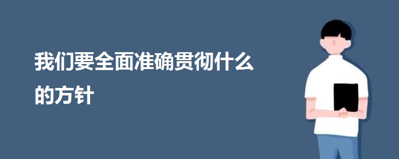 我們要全面準確貫徹什么的方針