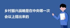 鄉(xiāng)村振興戰(zhàn)略是在中央哪一次會(huì)議上提出來的