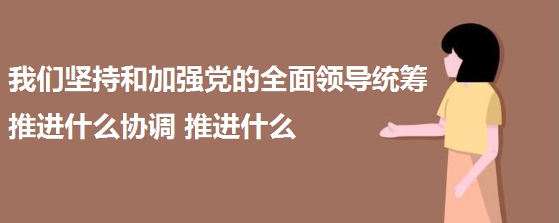 我們堅持和加強黨的全面領導統(tǒng)籌推進什么協(xié)調推進什么