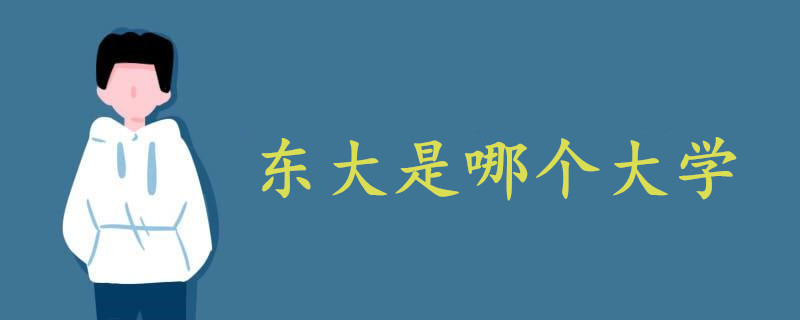 東大是哪個大學