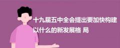 十九屆五中全會(huì)提出要加快構(gòu)建以什么的新發(fā)展格局