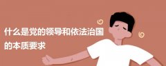 什么是黨的領(lǐng)導和依法治國的本質(zhì)要求