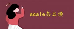 scale怎么讀