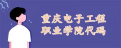 重慶電子工程職業(yè)學(xué)院代碼