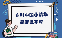 專科中的小清華是哪些學(xué)校？被評為小清華的?？茖W(xué)校