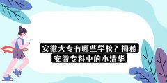 安徽大專有哪些學(xué)校？揭秘安徽?？浦械男∏迦A