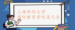 上海財(cái)經(jīng)大學(xué)國(guó)際教育學(xué)院是幾本