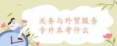 關(guān)務(wù)與外貿(mào)服務(wù)專升本考什么