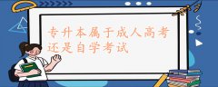專升本屬于成人高考還是